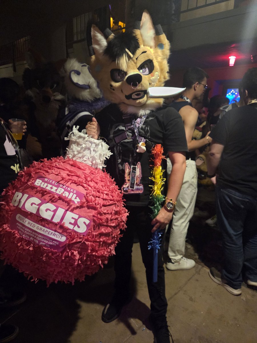 Helo 🐶 🐰 🔞 tweet media