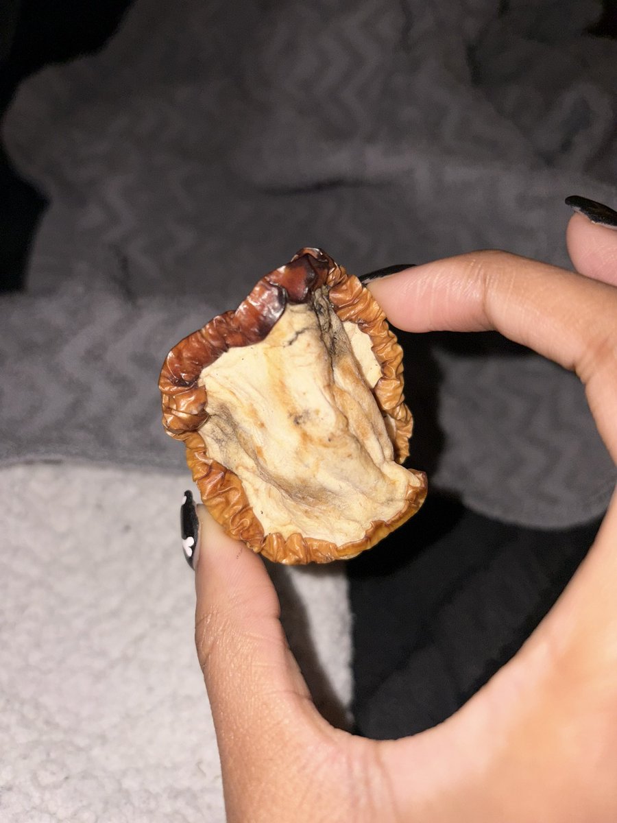 JINX 🍀ヾ(´〇`)ﾉ♪♪♪ not LOCKING IN tweet media