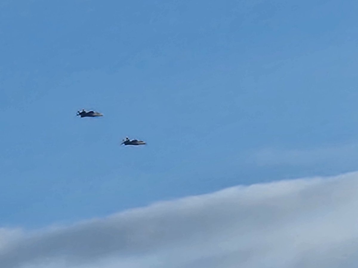 加古🍀 tweet media