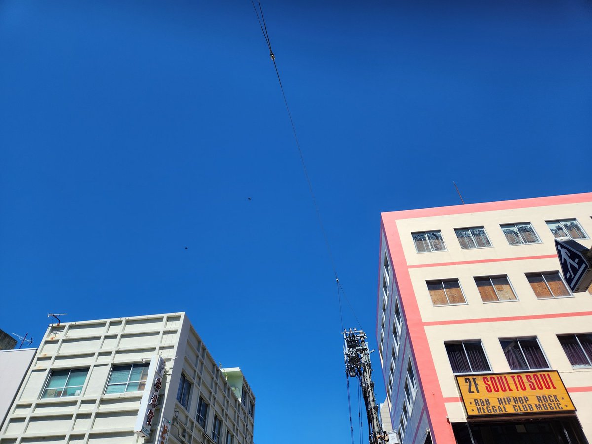 加古🍀 tweet media