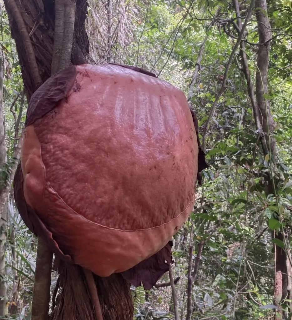 Y u s a n tweet media