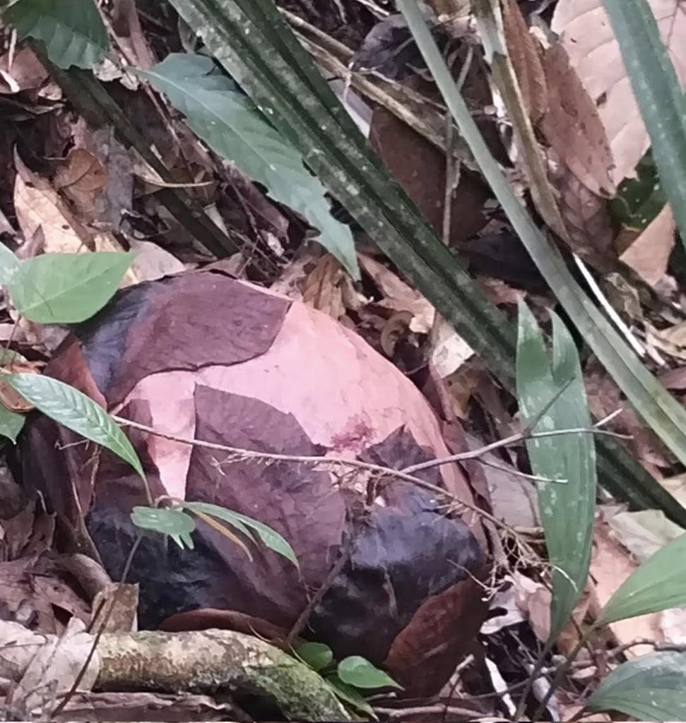 Y u s a n tweet media