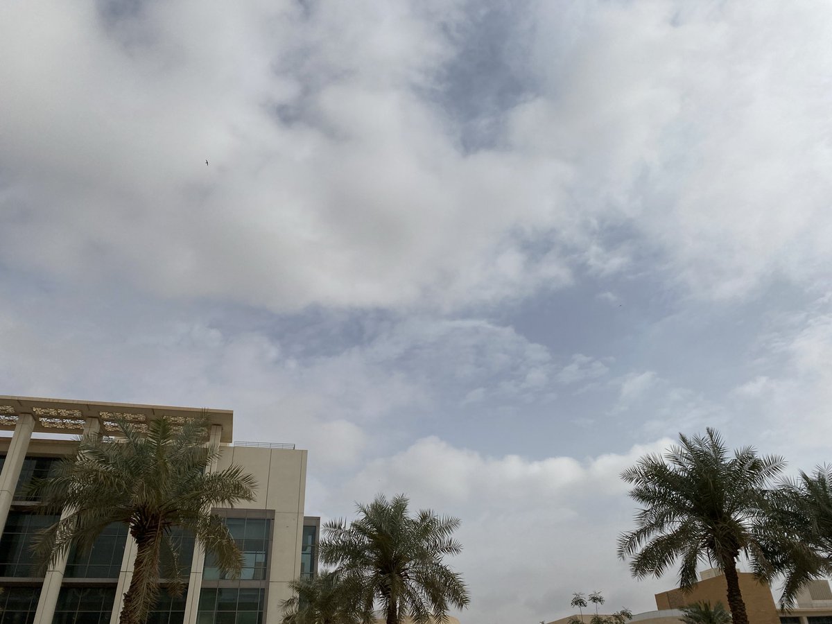 de@dly nightshade tweet media