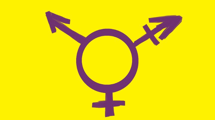 BeardedLady19's tweet photo. Art of the Day! "Intersex Pride Flag". Buy at: https://t.co/udsyam5ffJ https://t.co/kgWPCUK9qU