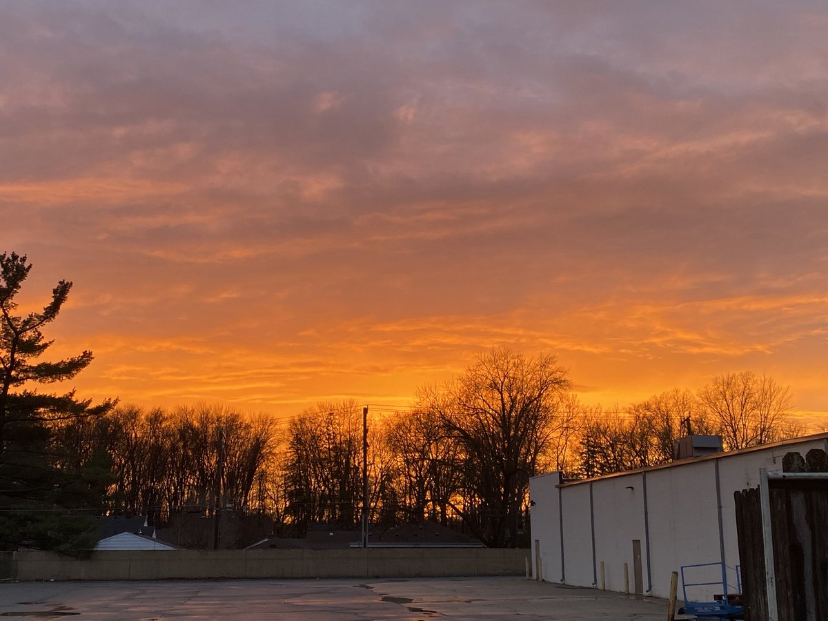 Jetta-Fire 🔥🐦🔥 tweet media