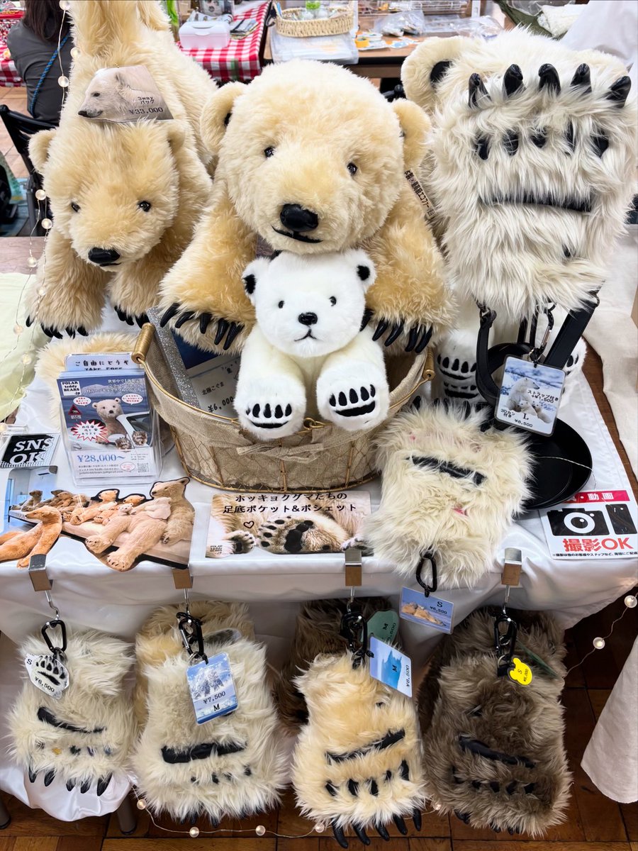 アニマーレ🐻‍❄️出没中！
残り2時間切りました！