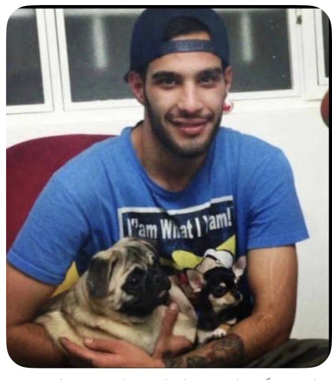 Navid Mohebbi نوید محبی tweet media