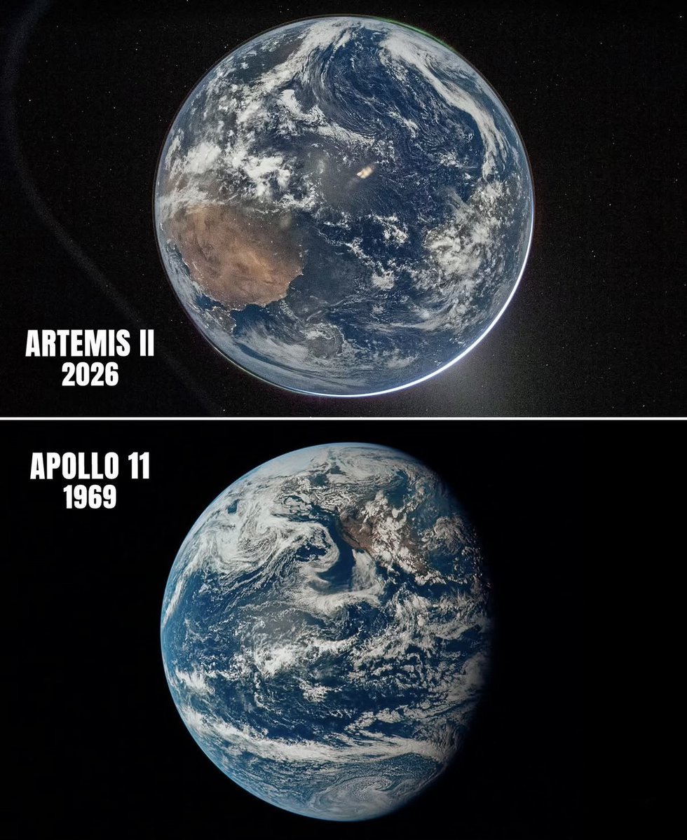 X Freeze tweet media