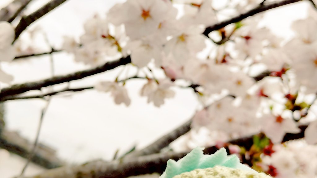 ピザポテト tweet media