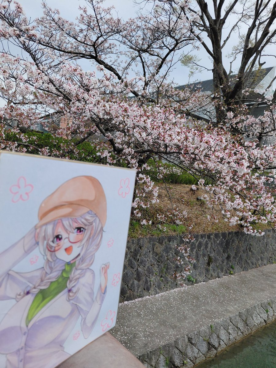 ピエイト🧖‍♂️ tweet media