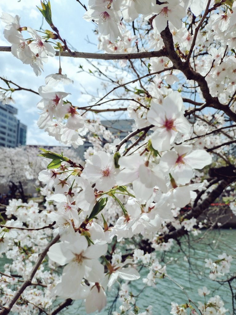 ˢ!ⁿʲ!ʳᵒᵘ/シンジロー tweet media