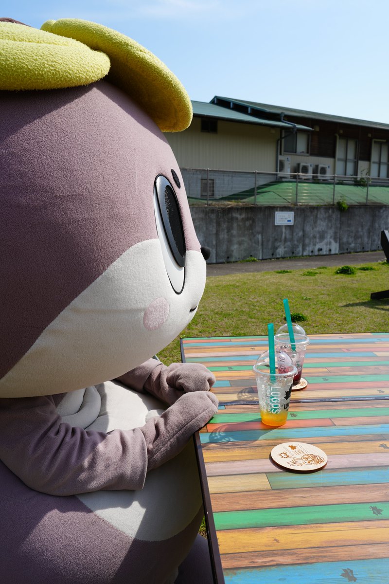 しんじょう君Shinjo-kun🌏 tweet media