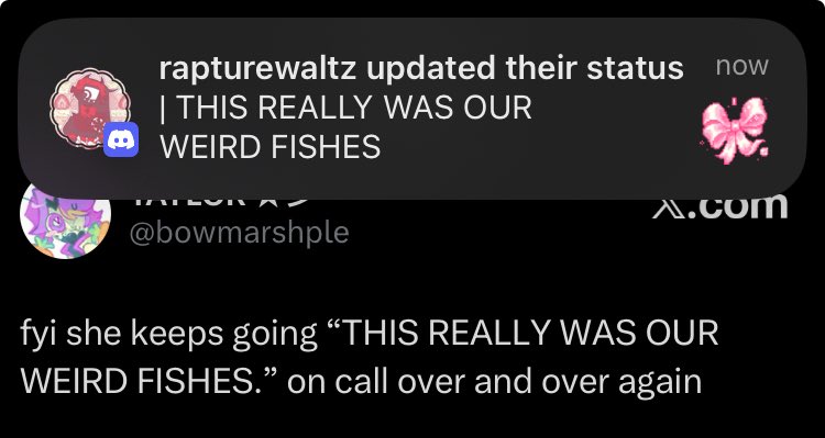 TAYLOR ★彡 tweet media