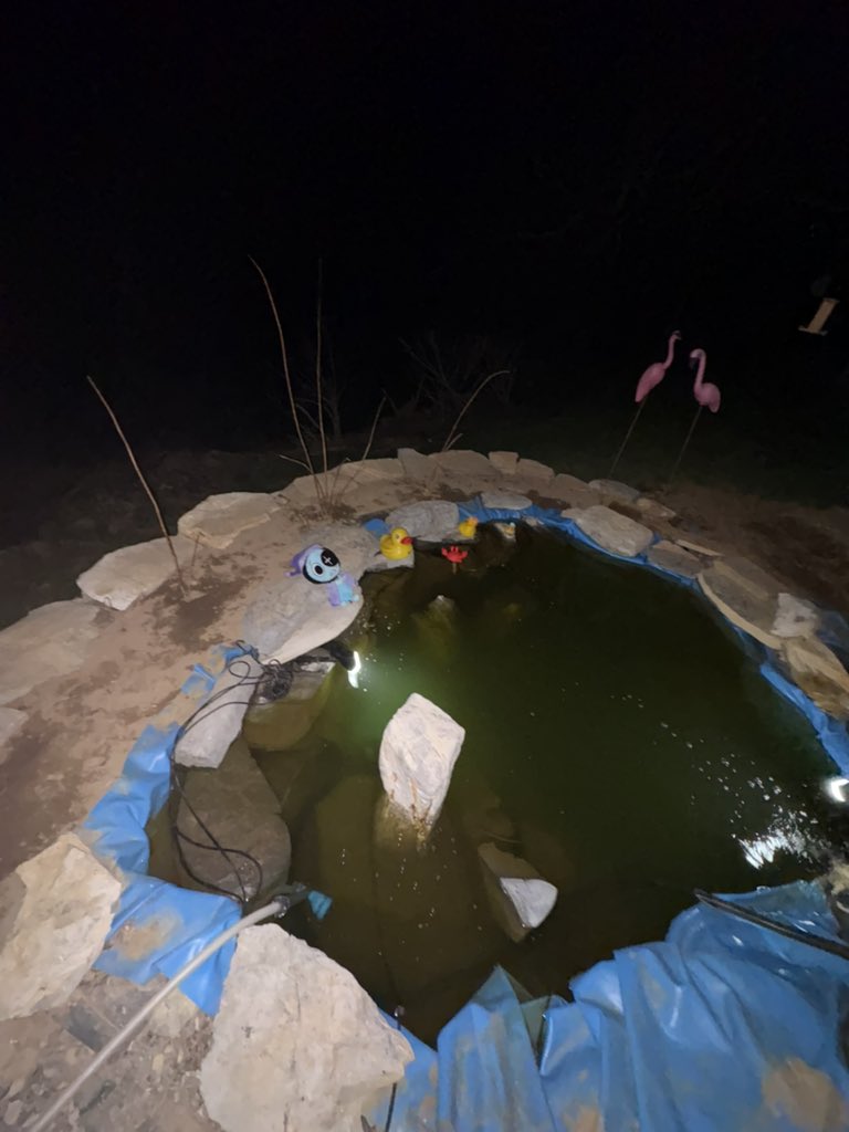 trix (FREE🇵🇸) tweet media