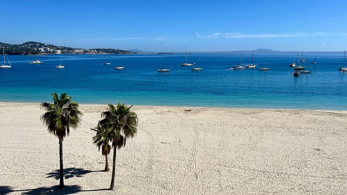 katieloucarterx's tweet image. 14 weeks today ✈️⛱️🥳
#summerbreak #spain #palma #excited