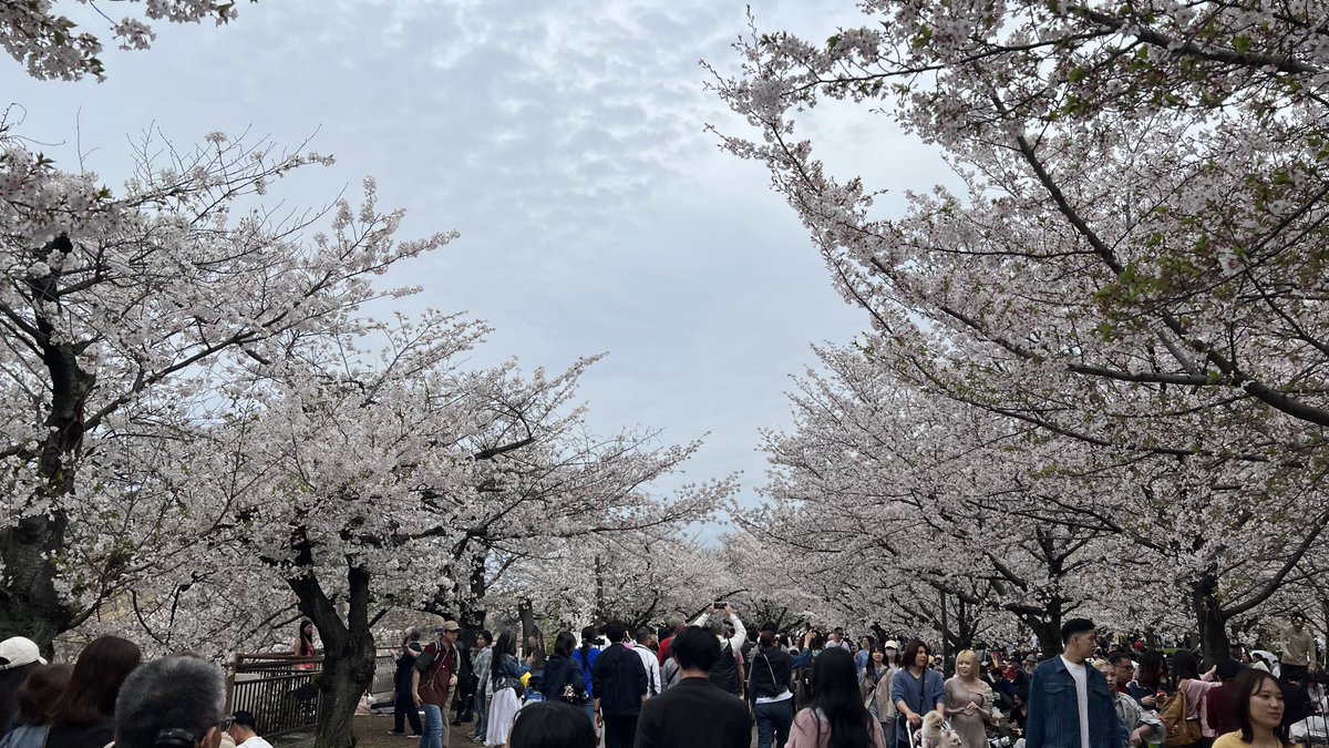 NSX-G(96HiME) tweet media