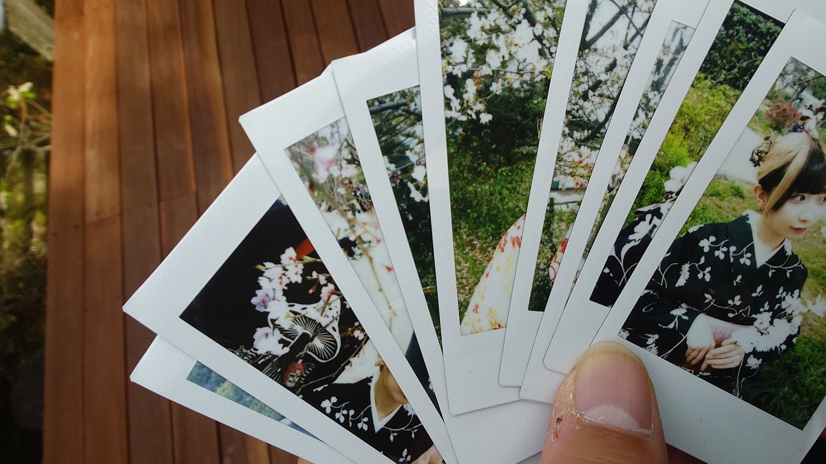 まぶ🐱 tweet media