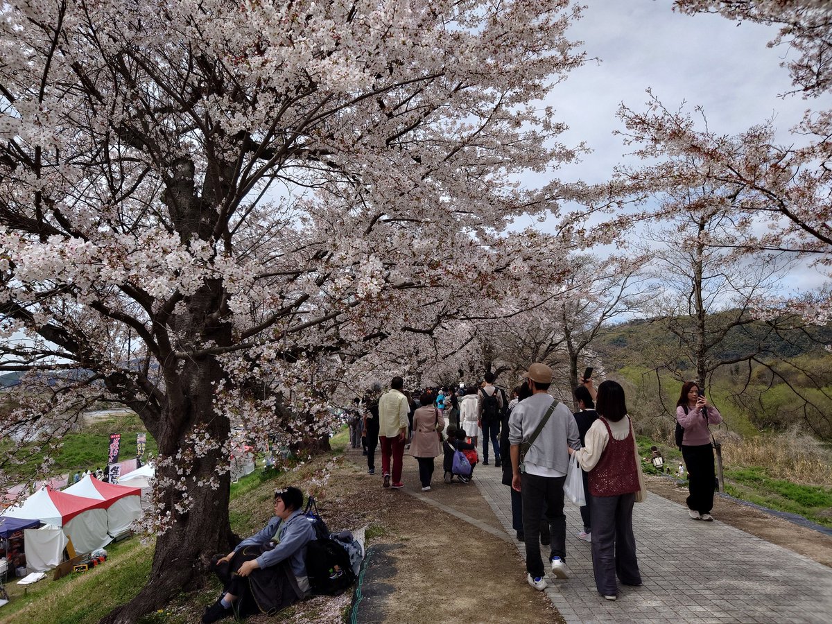 K準急@メタバースの遊撃手 tweet media