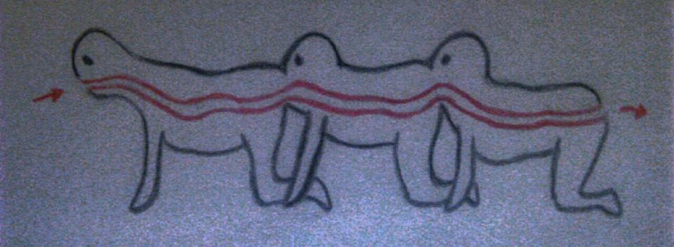 𝓻𝓪𝓿𝓮𝓷 tweet media