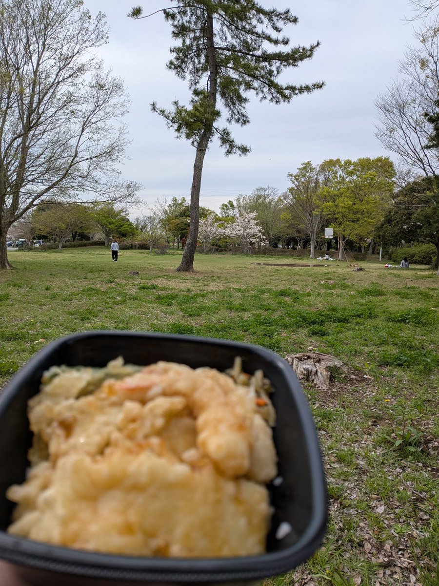 ぱしり@やっさいもっさい tweet media