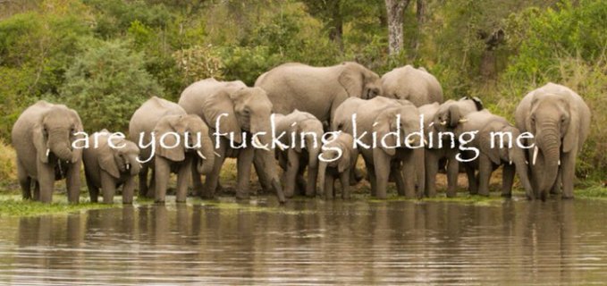 Statzz.. tweet media