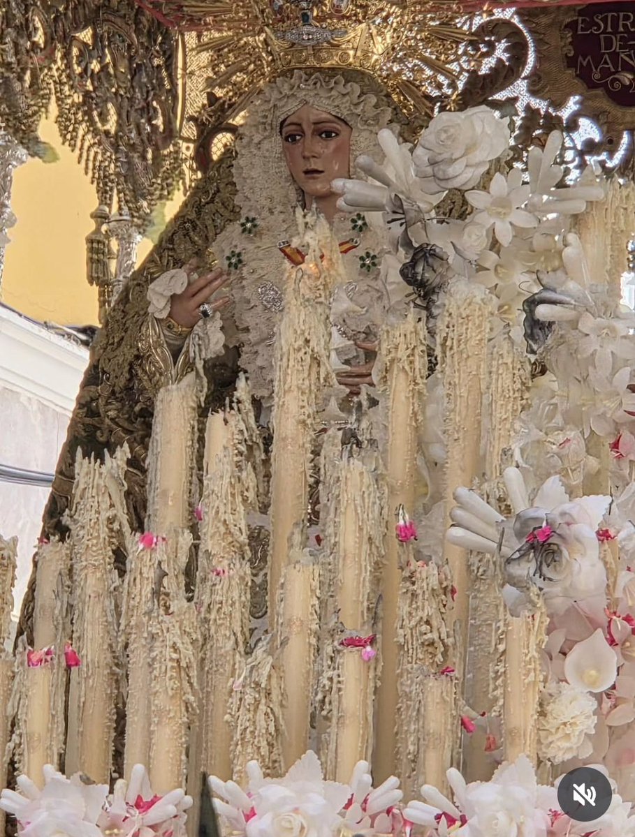 Manuel Sánchez T. tweet media