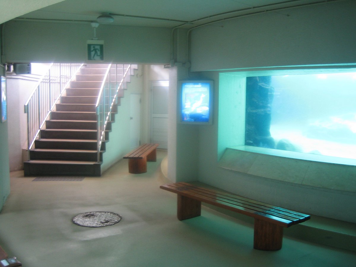 nagi𓅫⸒⸒ tweet media