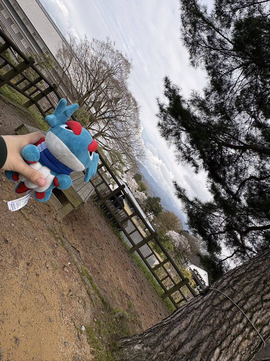 ぼーまんだをたおしたい tweet media