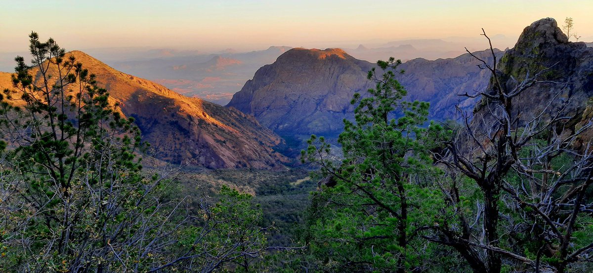 JustinCase tweet media