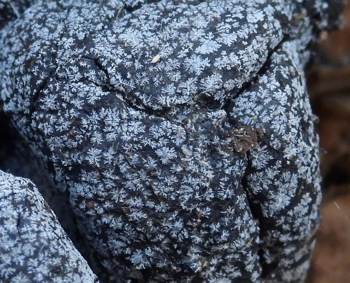 Julita Kluša tweet media