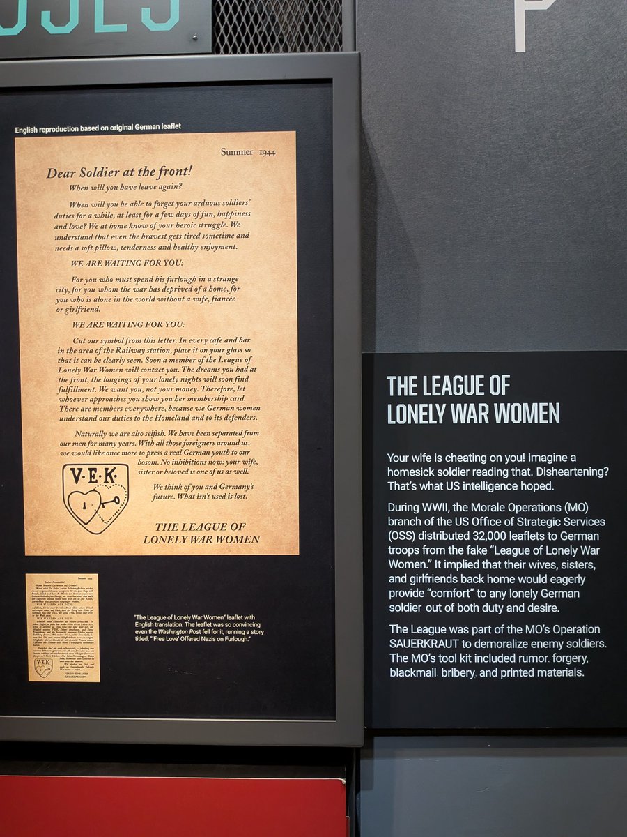 Amlitzer 🐏 tweet media