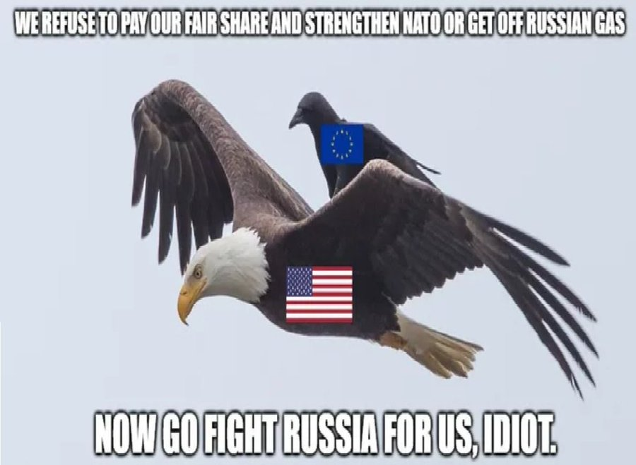 Itsonbitches tweet media