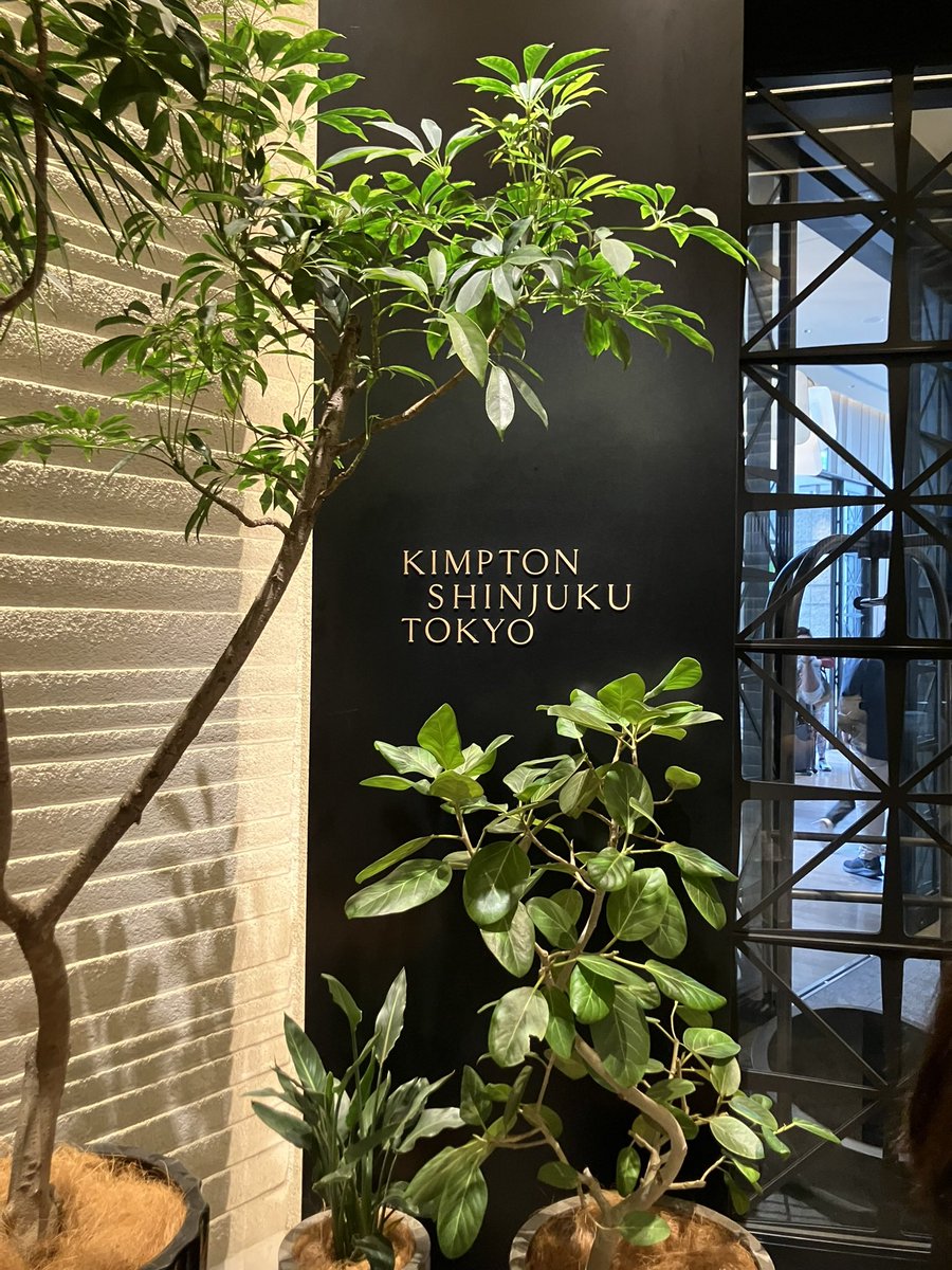 ちびっ子チロルくん(チワワ) tweet media