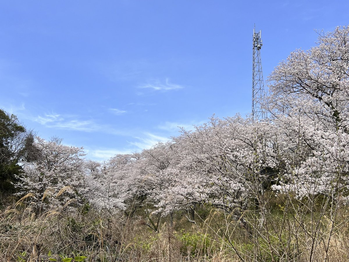 自転車丸飲み(たくさん食べた) tweet media