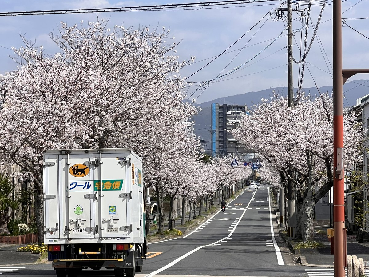 自転車丸飲み(たくさん食べた) tweet media
