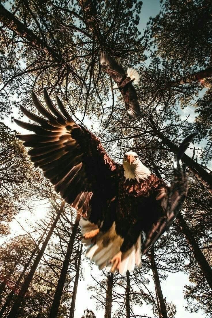 JessL444🪽🙏🏻🇺🇸 tweet media