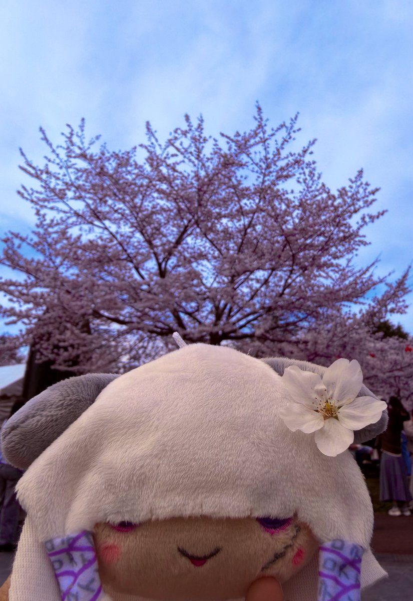 ⛩ヤッチ~🎹🎤🎸 tweet media