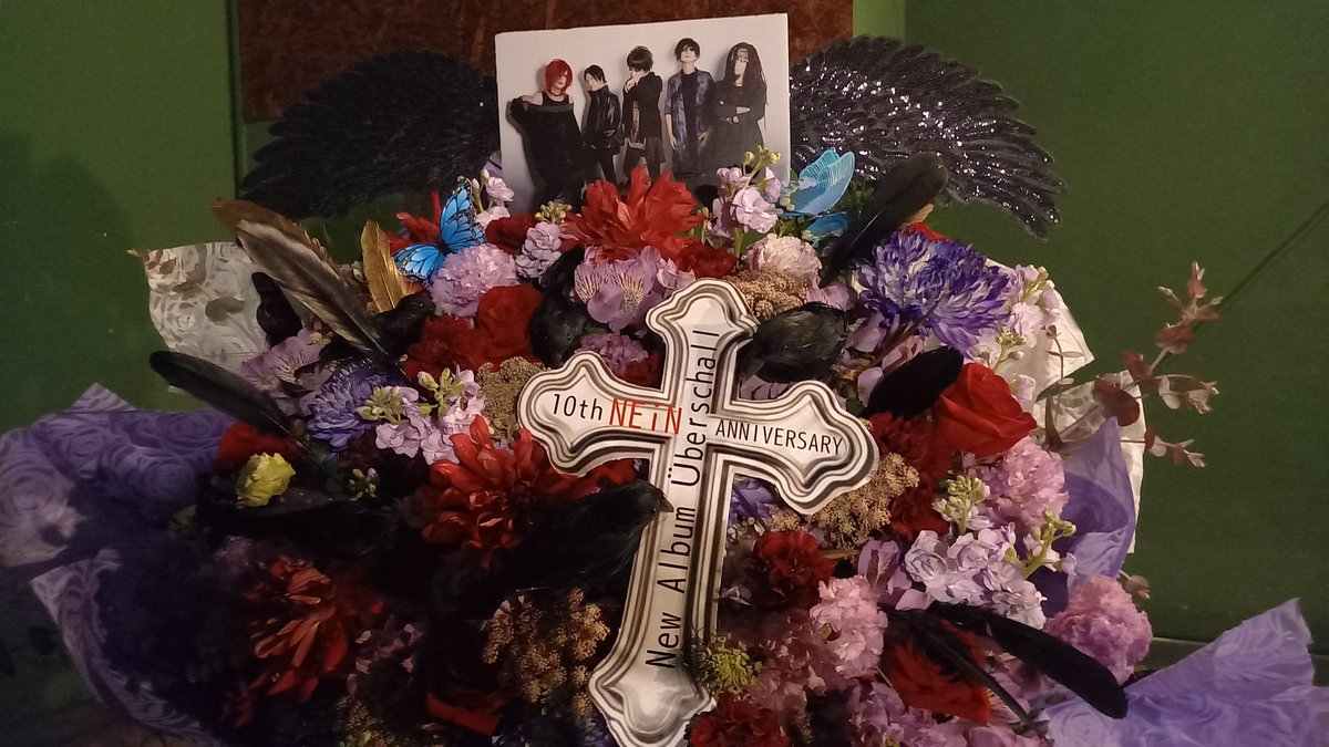 もか🐾【ぴぐもかチャンネル】 tweet media