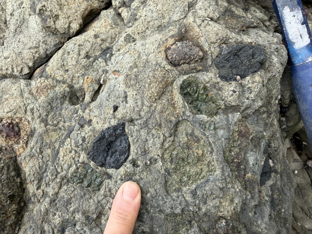 Tomo_Morishita_MantleLab tweet media