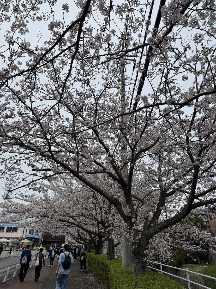 nejikuman tweet media