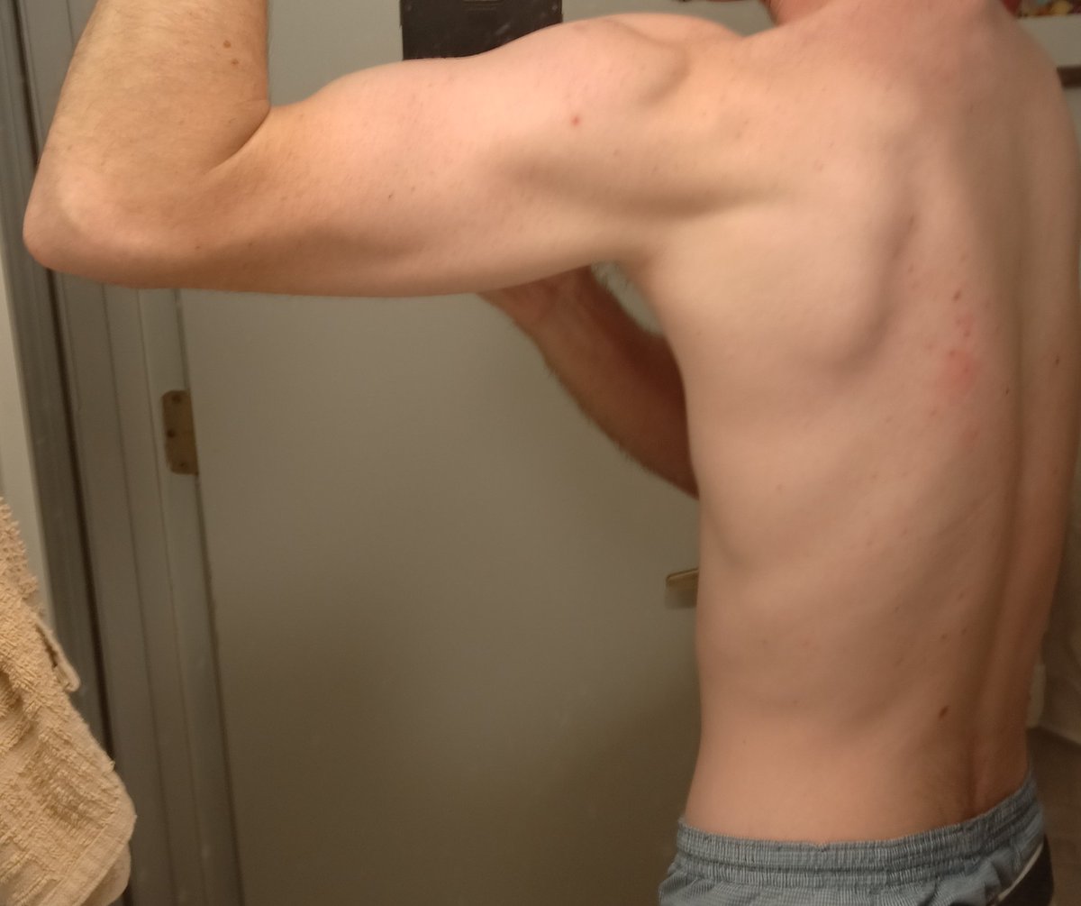 Nolan🇺🇸 tweet media