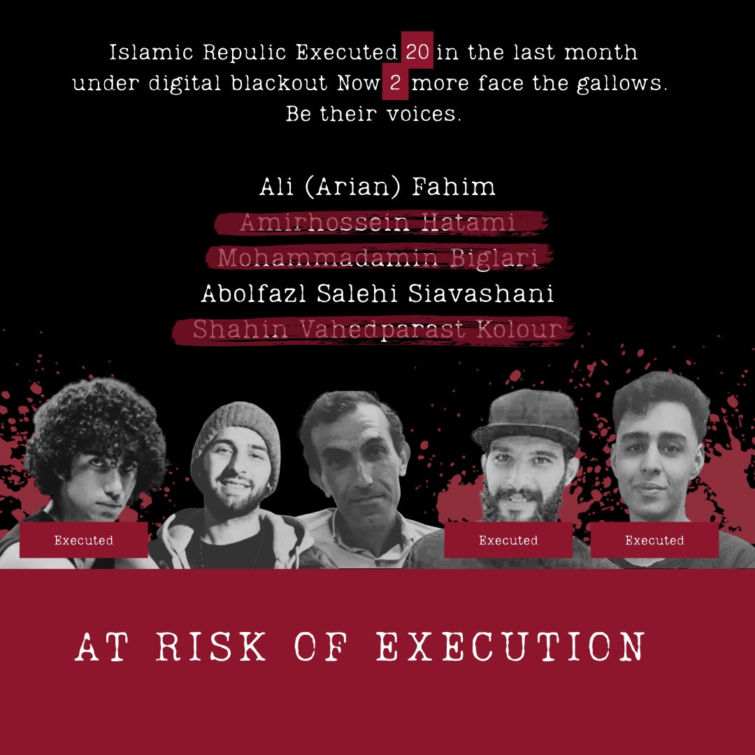 🇮🇷 سمن tweet media