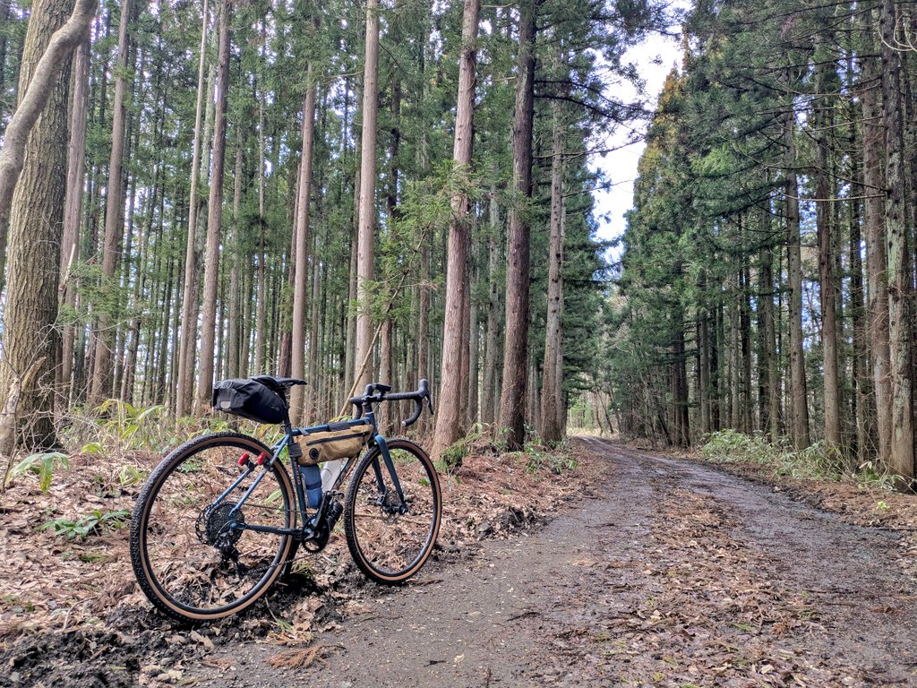 おしらべつ tweet media