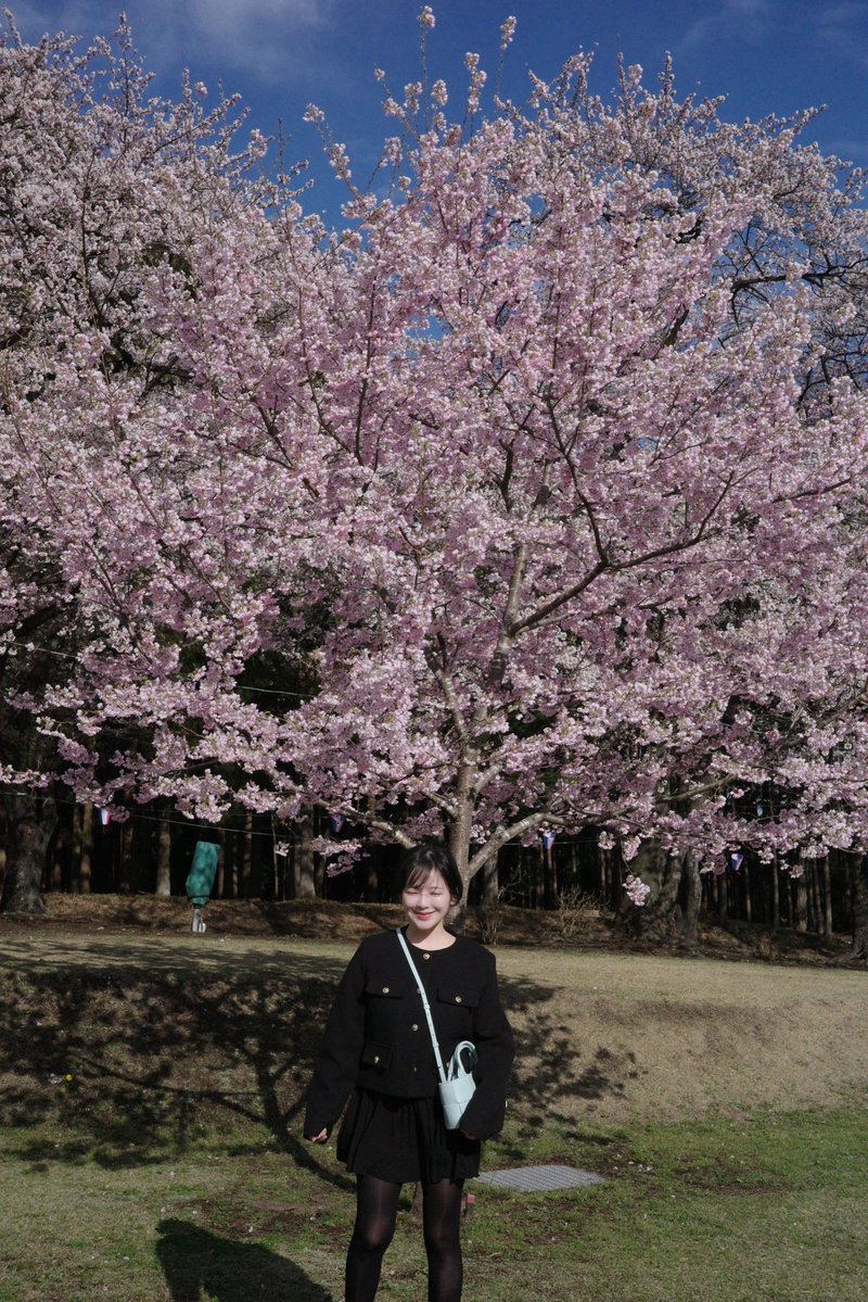 天木じゅん tweet media