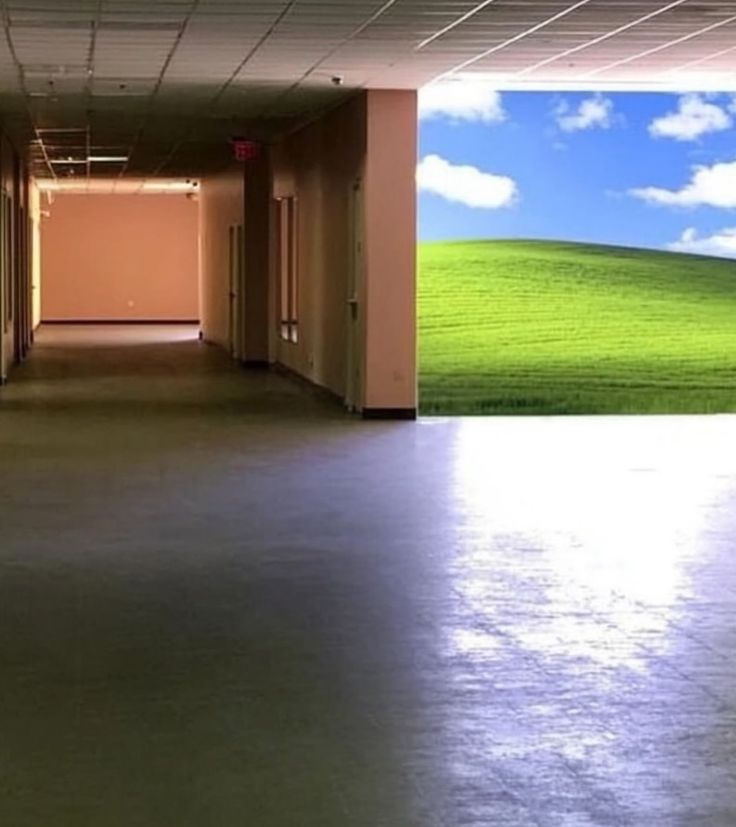 Liminal Spaces tweet media