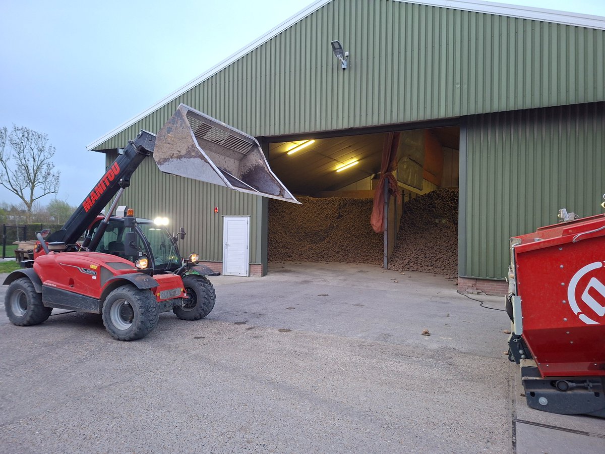 Michael Schippers tweet media