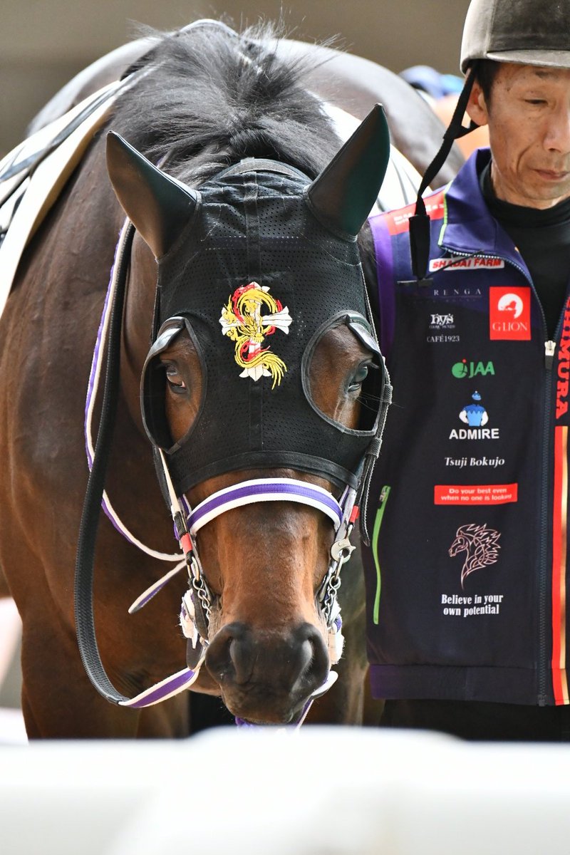 あき🐎=3=3 tweet media