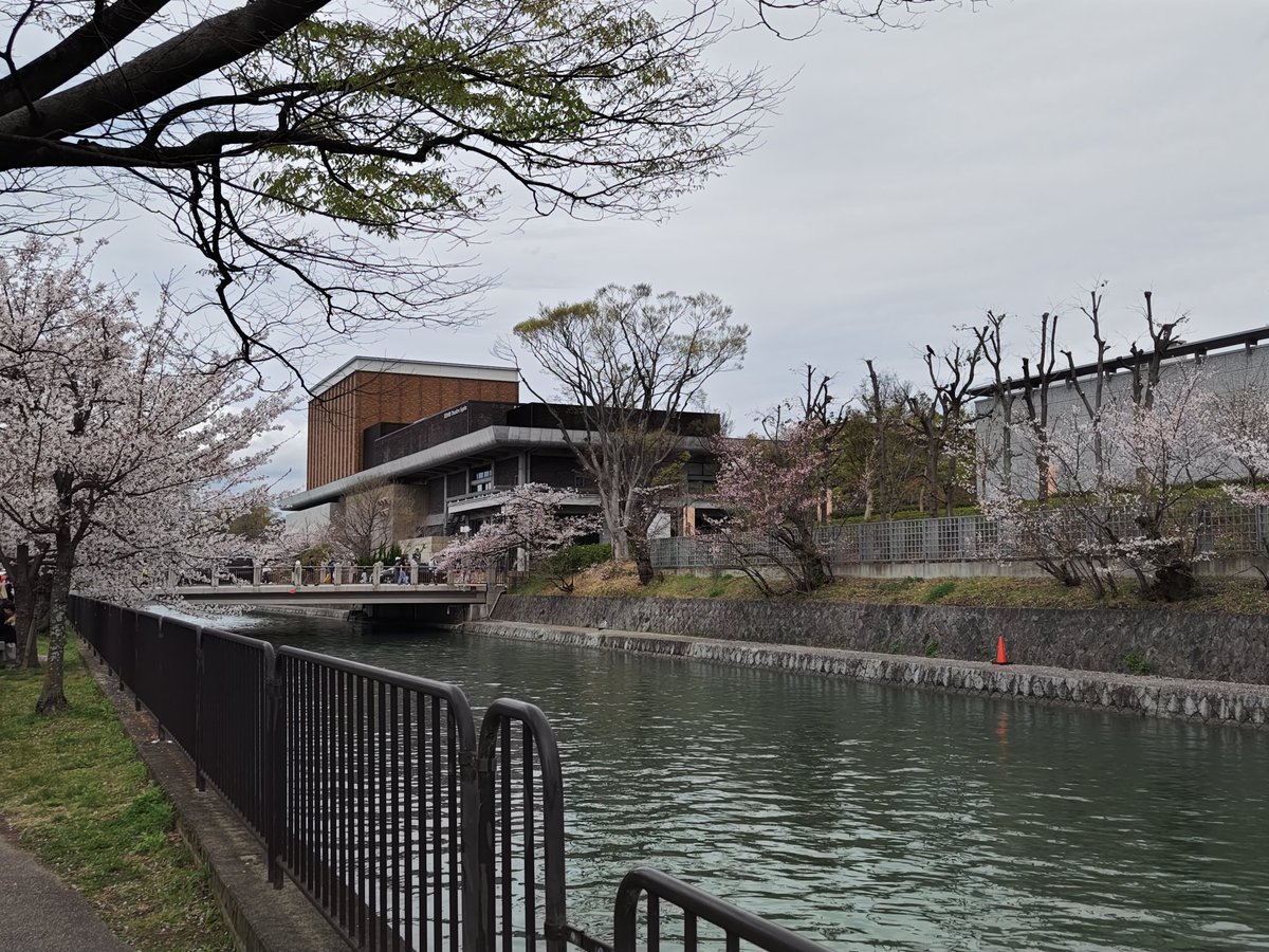 サーペント tweet media