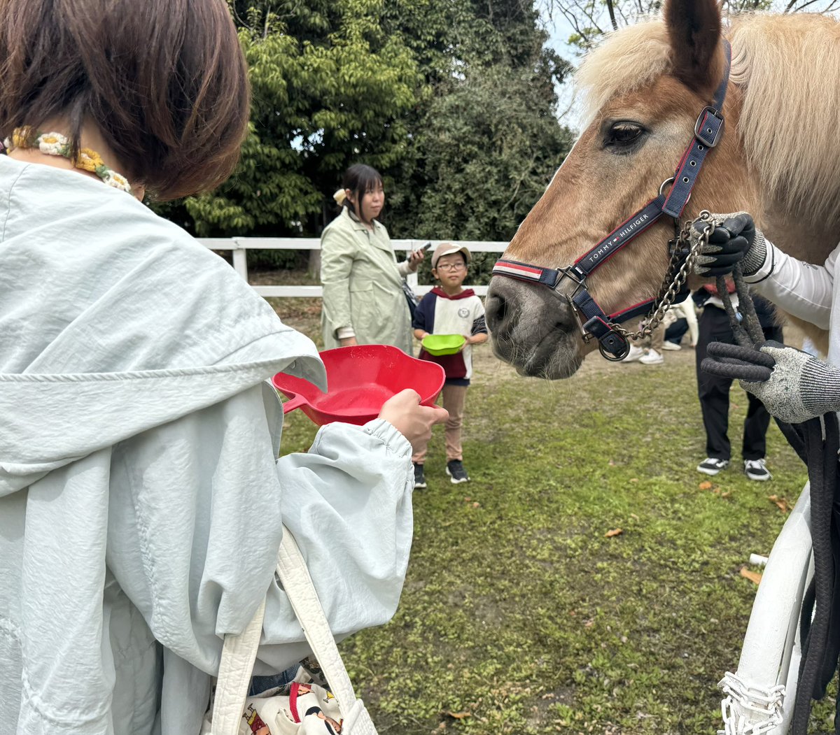 毎月恒例
ふれあい体験・餌やり体験を開催しました。

馬たちとのふれあいを楽しみながら、癒しの時間に。
ご参加いただいた皆さま、ありがとうございました！

次回は5月5日開催予定です！
ぜひ遊びに来てください。

tsurumiryokuchi-joba.com

#鶴見緑地乗馬苑
#大阪乗馬クラブ
#鶴見緑地公園