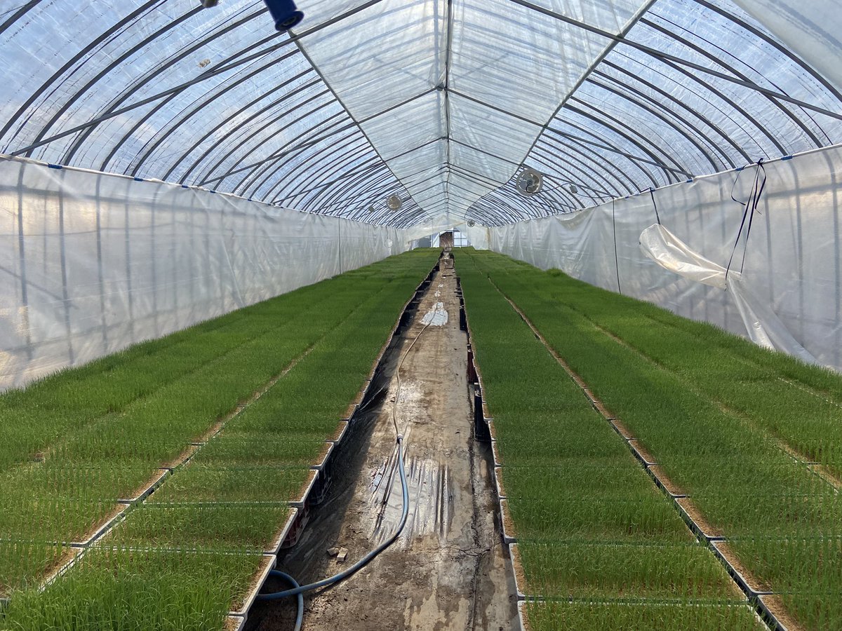 とみやす｜北海道の大規模農家 tweet media